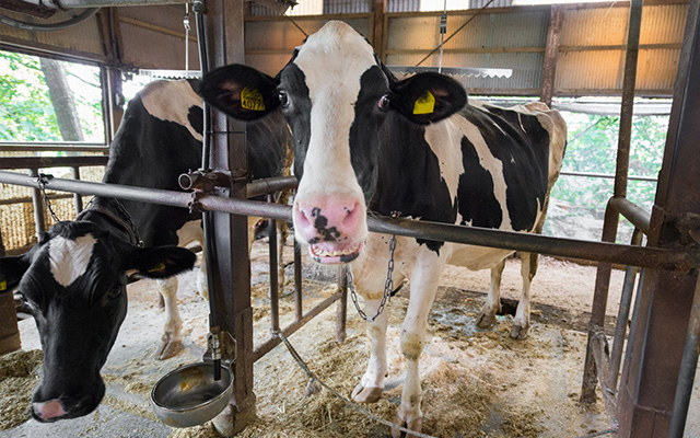 なのはな製乳のイメージ